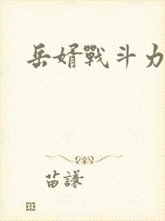 岳婿战斗力