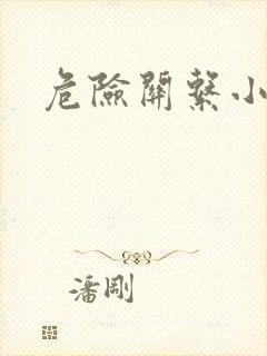 危险关系小说封面