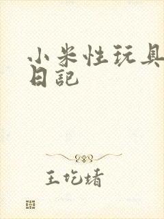 小米性玩具羞辱日记