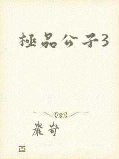 极品公子3
