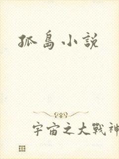 孤岛小说