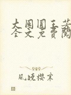 大团圆王芳高敏全文免费阅读封面