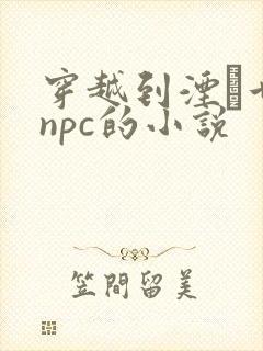 穿越到湮婸世界npc的小说
