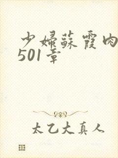 少妇苏霞肉欲第501章