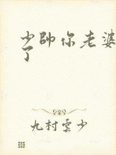 少帅你老婆又跑了