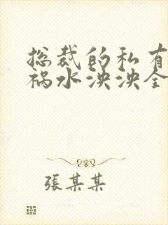 总裁的私有宝贝祸水泱泱全文阅读