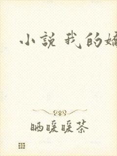 小说 我的娇妻