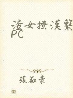 渣女撩汉系统NPC
