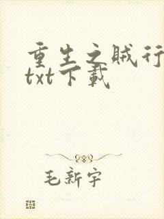 重生之贼行天下txt下载