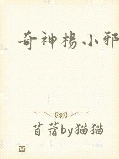 奇神杨小邪