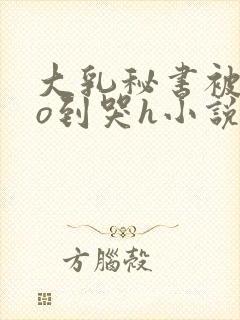 大乳秘书被cao到哭h小说封面