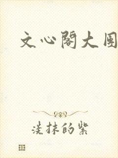 文心阁大团结封面