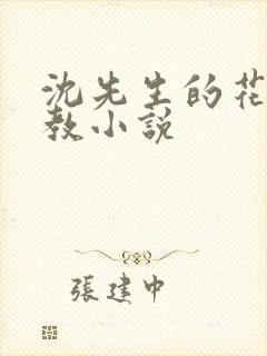 沈先生的花式管教小说