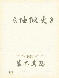 《他似火》封面
