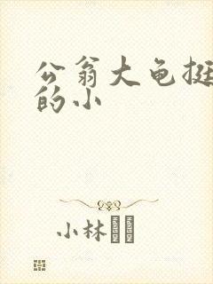 公翁大龟挺进我的小
