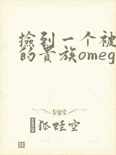 捡到一个被抹布的贵族omega封面