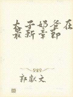 太子奶爸在花都最新章节封面