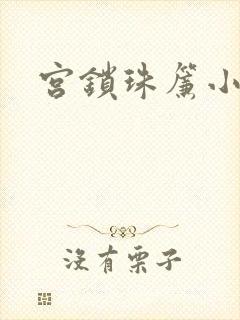 宫锁珠帘小说