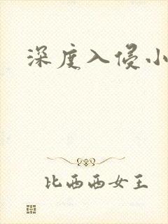 深度入侵小说
