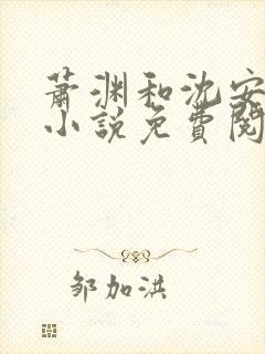 萧渊和沈安安的小说免费阅读