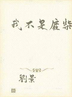 我不是废柴