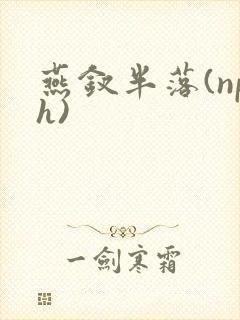 燕钗半落(nph)