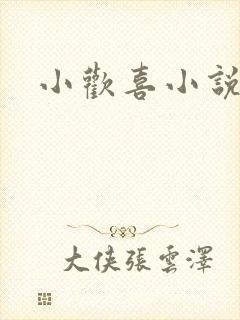 小欢喜小说封面