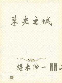 墓光之城封面