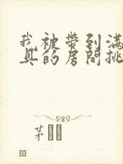 我被带到满是玩具的房间挑调游戏
