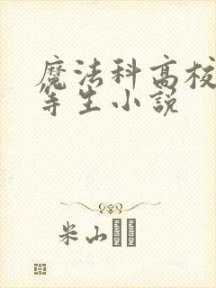 魔法科高校的劣等生小说