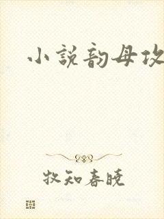 小说韵母攻略
