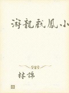 游龙戏凤小说封面