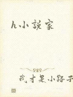 h小说家