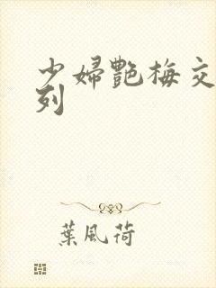 少妇艳梅交换系列封面