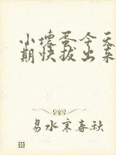 小坏蛋今天危险期快拔出来