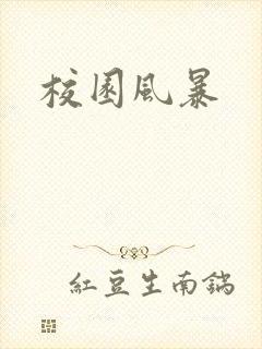 校园风暴封面