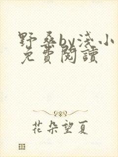 野桑by浅小说免费阅读