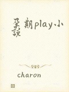 孕期play小说