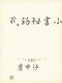 我的秘书小姐封面