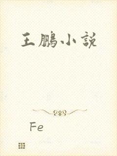 王鹏小说