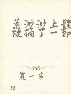 叶渺渺上体育课被捅了一节课封面