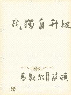 我独自升级