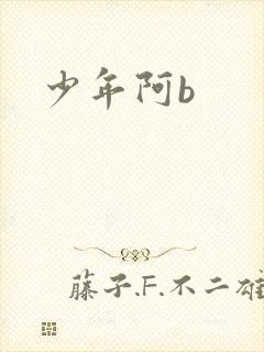 少年阿b封面