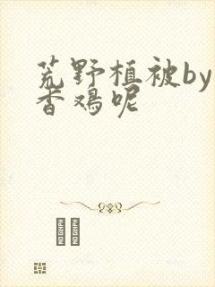 荒野植被by麦香鸡呢封面