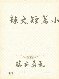 辣文短篇小说