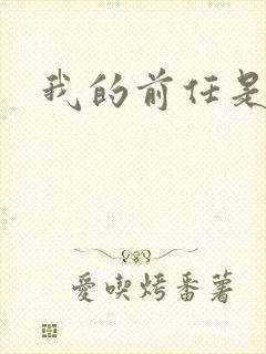 我的前任是极品
