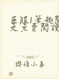 臣服1笔趣阁全文免费阅读无弹窗封面