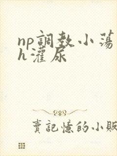 np调教小荡货h灌尿