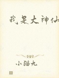 我是大神仙小说