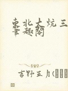 东北大炕三部曲笔趣阁